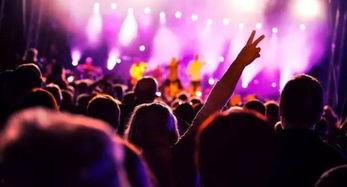 失重音乐节最新爆料,阵容升级，狂欢盛宴即将启幕！